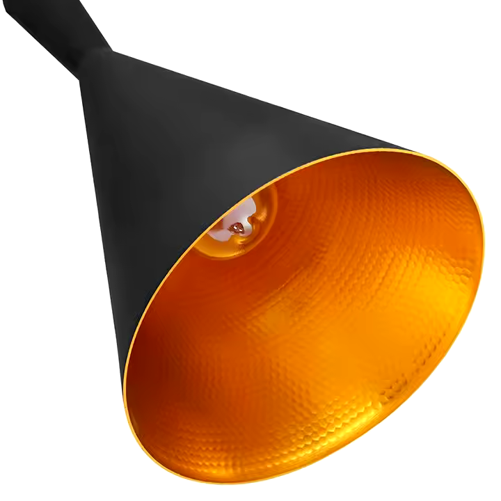 Noir Luxe Pendant Light