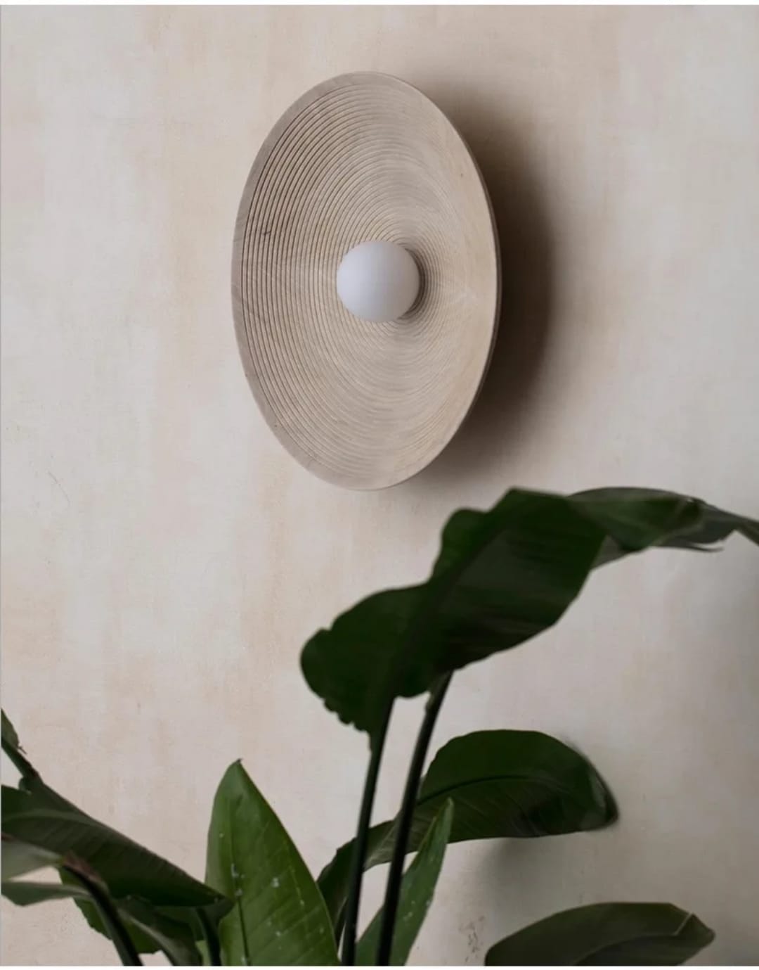 Textured Glass Dome Wall Light